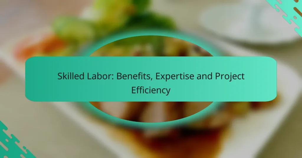 Skilled Labor: Benefits, Expertise and Project Efficiency