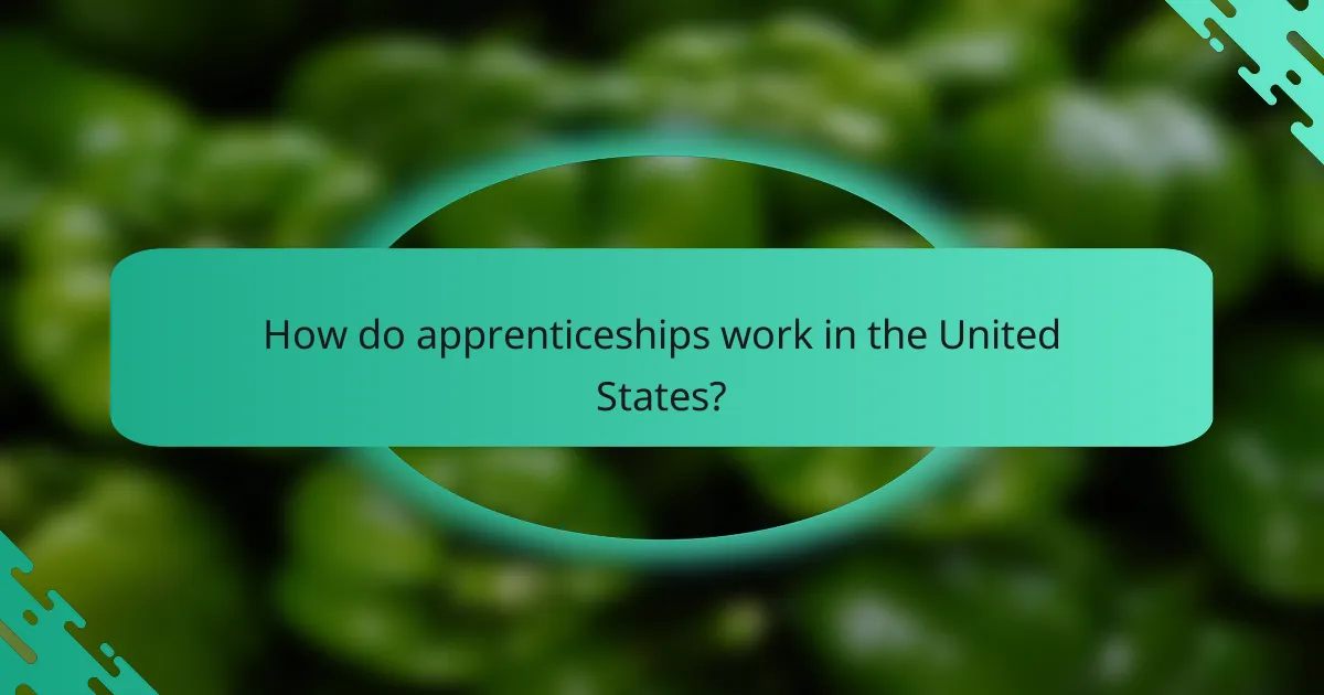 How do apprenticeships work in the United States?